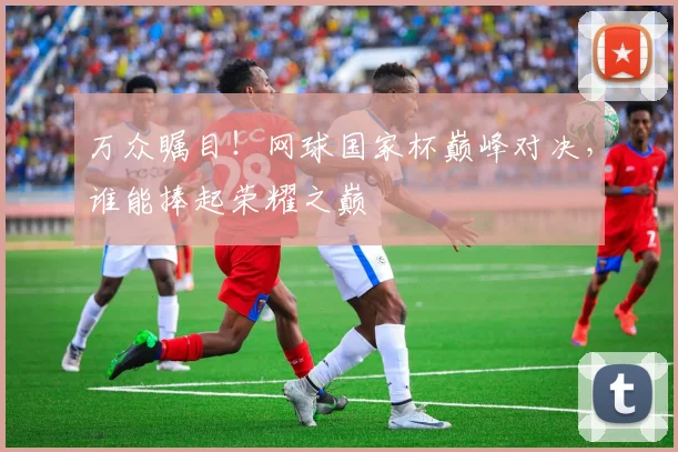 万众瞩目！网球国家杯巅峰对决，谁能捧起荣耀之巅